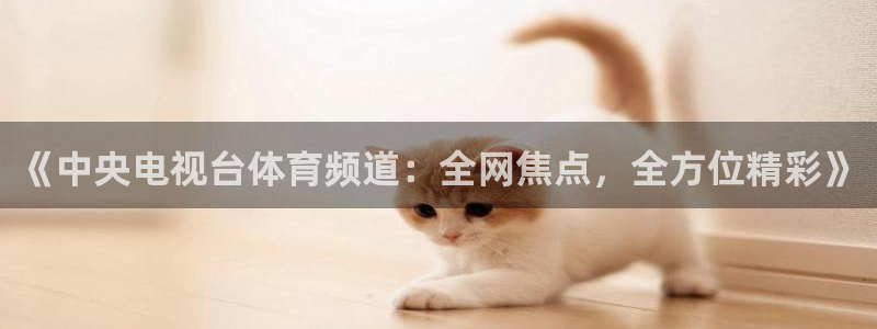 劲爆体育免费直播：《中央电视台体育频道：全网焦点，全方位精彩》