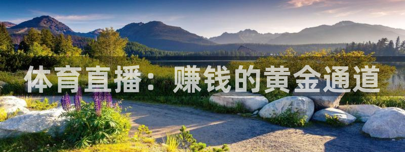 劲爆体育今日节目表直播：体育直播：赚钱的黄金通道