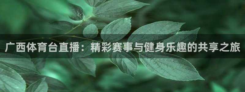 nba直播劲爆体育：广西体育台直播：精彩赛事与健身乐趣的共享之旅
