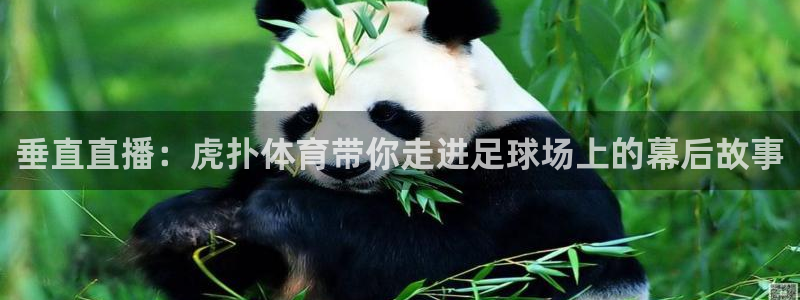 劲爆体育直播高清：垂直直播：虎扑体育带你走进足球场上的幕后故事