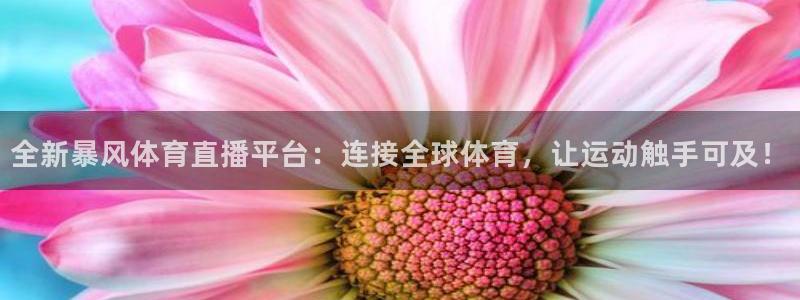 劲爆体育nba在线直播免费观看：全新暴风体育直播平台：连接全球体育，让运动触手可及！