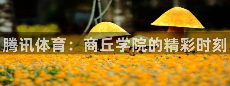 劲爆体育在线直播nba高清
