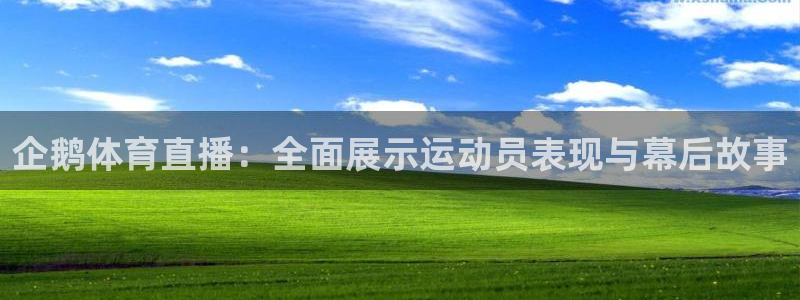 劲爆体育nba今天直播：企鹅体育直播：全面展示运动员表现与幕后故事
