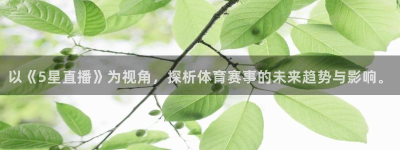 劲爆直播官网免费体育直播：以《5星直播》为视角，探析体育赛事的未来趋势与影响。