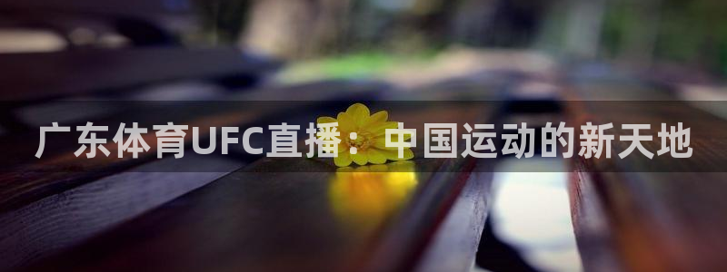 劲爆体育频道直播表：广东体育UFC直播：中国运动的新天地