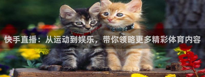 nba劲爆体育在线直播：快手直播：从运动到娱乐，带你领略更多精彩体育内容