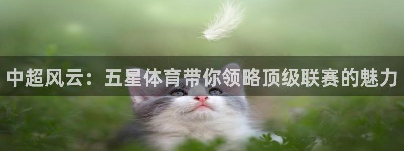 劲爆体育高清免费直播观看：中超风云：五星体育带你领略顶级联赛的魅力