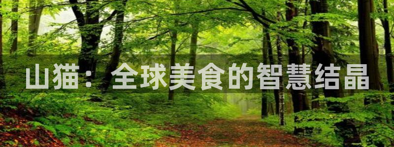 劲爆体育在线直播nba直播：山猫：全球美食的智慧结晶