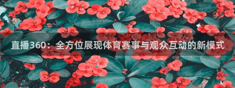 nba劲爆体育在线直播高清：直播360：全方位展现体育赛事与观众互动的新模式