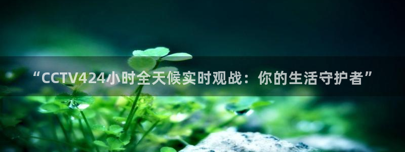 劲爆体育在线直播：“CCTV424小时全天候实时观战：你的生活守护者”